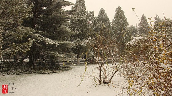 471fe31a1af0def8fec48e56da5c9852.jpg c1.jpg